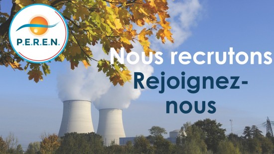PEREN recrute 1 chef(fe) de projet Préparation modulaire et MQME H/F